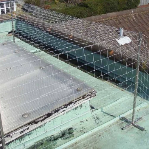 Anti Seagull Safety Nets Installation Service